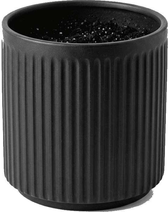 Fluted Basalt Ceramic