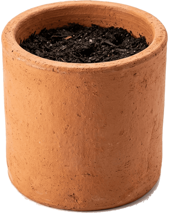Classic terracotta pot