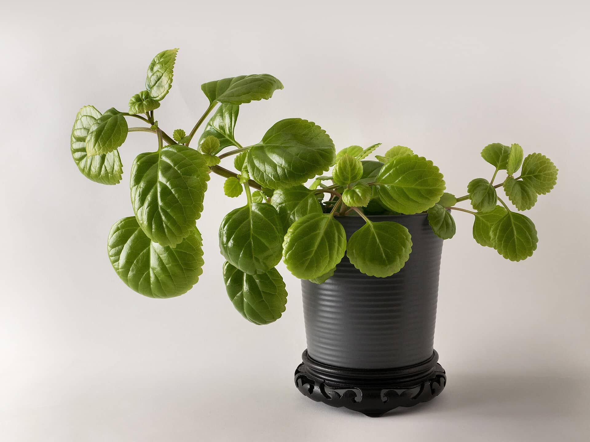 Stone cylinder planter